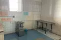 Produktion 301 m² Znamienka, Weißrussland