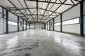 Склад 1 комната 750 м² в Фаниполе, Беларусь