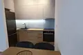 Apartamento 1 habitacion 452 m² Montenegro, Montenegro
