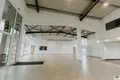 Commercial property 1 019 m² in Hungary, Hungary