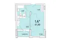 1 room apartment 43 m² Brest, Belarus