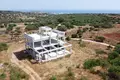 Dom 5 pokojów 300 m² Ajia Napa, Cyprus