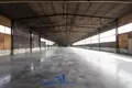 Склад 2 824 м² в Бобруйске, Беларусь