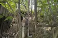 Grundstück 800 m² Sokolskoje, Russland