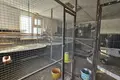 3 bedroom apartment 174 m² Dyulevo, Bulgaria