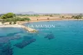 Land  Mazotos, Cyprus