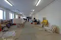 Manufacture 1 804 m² in Hotland rural council, Belarus
