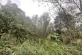 Działki  Zugdidi, Gruzja