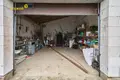 House 66 m² Smilavicki sielski Saviet, Belarus