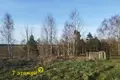 Maison 39 m² Stankauski selski Savet, Bélarus