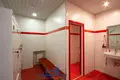 Nieruchomości komercyjne 126 m² Mińsk, Białoruś