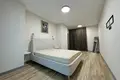 Wohnung 2 zimmer 66 m² Minsk, Weißrussland