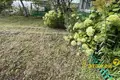Haus 45 m² Papiarnianski sielski Saviet, Belarus