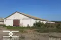 Warehouse 1 049 m² in Zodzinski selski Savet, Belarus