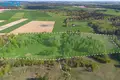 Działki  Szyrwinty, Litwa