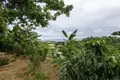 Дом 3 спальни 372 м² Roatan, Гондурас