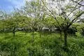 Cottage 8 rooms 345 m² Raanana, Israel
