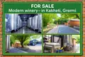 🏭 For Sale – Modern Winery in Gremi, Kakheti