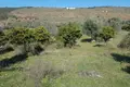 Land 2 200 m² Peloponnese Region, Greece