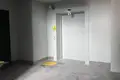 Wohnung 1 zimmer 39 m² Smaljawitschy, Belarus