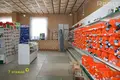 Tienda 350 m² en Krupki, Bielorrusia