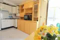 Studio apartment 26 m² Torrevieja, Spain