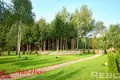 Cottage 309 m² Kalodishchy, Belarus