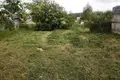 Land  Pliski selski Savet, Belarus