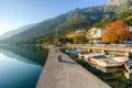 Villa 11 habitaciones 380 m² Risan, Montenegro