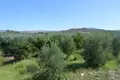 Parcelas 7 500 m² Peloponnese Region, Grecia