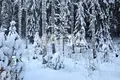 Cottage 2 bedrooms 74 m² Kouvolan seutukunta, Finland