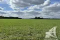 Land  Malyja Radvanicy, Belarus