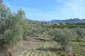 Land 5 980 m² Peloponnese Region, Greece