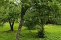 Parcelas  Anninskoe gorodskoe poselenie, Rusia