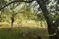 Земельные участки  Логойский сельский Совет, Беларусь
