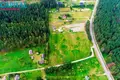 Atterrir  Druskininkai, Lituanie