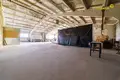 Commercial property 1 490 m² in Lahojsk selsaviet, Belarus