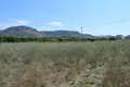 Land 4 020 m² Peloponnese Region, Greece