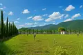  Fully equipped, brand-new wine factory with a full production cycle, located in Kvareli 