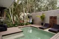 Casa 4 habitaciones 4 736 m² Tulum, México