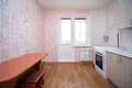 Apartamento 1 habitación 46 m² Smalyavichy, Belarús