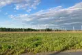 Grundstück 800 m² gorodskoj okrug Bor, Russland