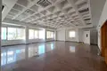 Gewerbefläche 470 m² in Limassol District, Zypern