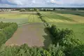 Parcelas 5 159 m² Krosinko, Polonia