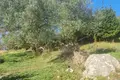 Land  Herceg Novi, Montenegro