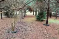 Dom 40 m² Dabryniouski sielski Saviet, Białoruś