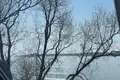 2 room apartment 32 m² Neringa, Lithuania