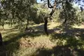 Земельные участки  Скала Калирахис, Греция