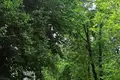 2 room apartment 45 m² Minsk, Belarus
