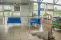 Gewerbefläche 1 005 m² Alitten, Litauen